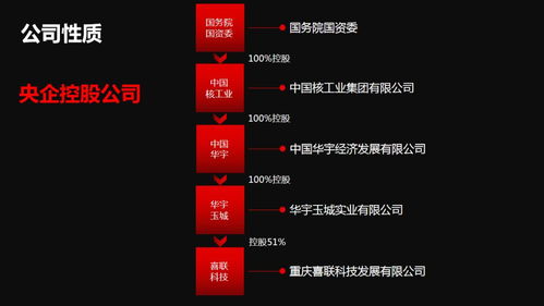 新囍聯(lián)新產(chǎn)品新模式渠道商啟動大會圓滿召開，開啟互聯(lián)網(wǎng)數(shù)據(jù)服務(wù)新篇章